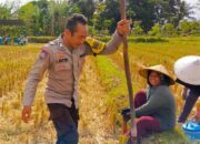 Ketahanan Pangan Dimulai dari Desa: Inisiatif Bhabinkamtibmas Kuripan Disambut Warga