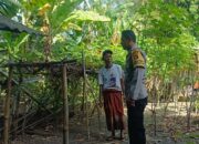 Pemanfaatan Pekarangan Jadi Kunci Kemandirian Pangan Warga Babussalam