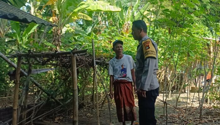 Pemanfaatan Pekarangan Jadi Kunci Kemandirian Pangan Warga Babussalam
