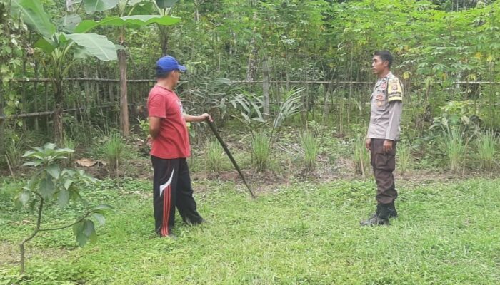 Pekarangan Produktif di Bengkaung, Langkah Nyata Warga Jaga Pangan