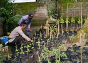 Antisipasi 3C, Polisi Gencarkan Patroli Malam di Lombok Barat