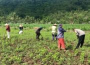 Ketahanan Pangan Berbasis Rumah Mulai Diterapkan di Karang Rumak