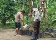Warga Batulayar Kembangkan Pembibitan Cabai, Polisi Hadir Beri Pendampingan