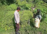 Peran Aktif Polri dalam Ketahanan Pangan: Inspirasi dari Desa Montong Are