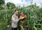 Polri dan Masyarakat Desa Labuapi Kolaborasi Jaga Kamtibmas dan Produktivitas Pangan