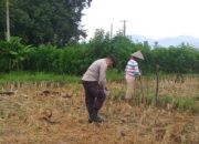 Bhabinkamtibmas Desa Jagaraga Edukasi Warga Soal Pangan Mandiri