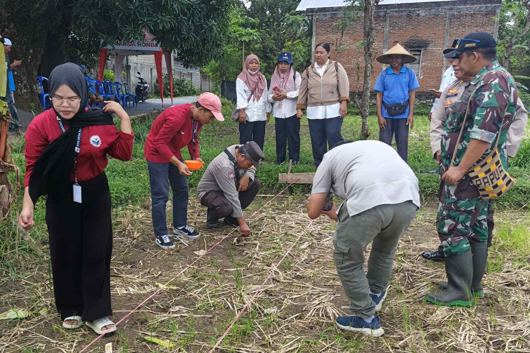 Sinergi Polsek Batulayar dan Warga Sandik Tanam Jagung Dukung Ketahanan Pangan