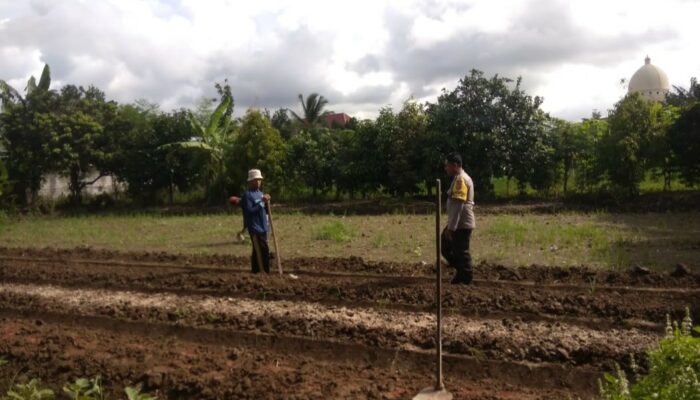 Dukung Pangan Nasional, Polisi Aktif Dampingi Petani Kediri