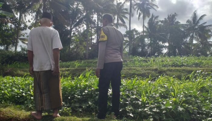 Bhabinkamtibmas Mareje Dorong Kemandirian Pangan Keluarga