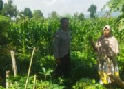 Ketahanan Pangan Berbasis Desa: Polri Gandeng Petani Kediri Lombok Barat