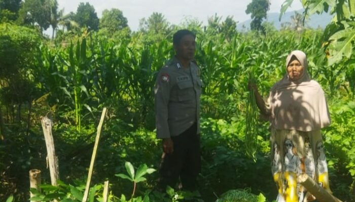 Ketahanan Pangan Berbasis Desa: Polri Gandeng Petani Kediri Lombok Barat