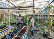 Polsek Labuapi Dukung Penuh Gerakan Tanam Sayur Warga Desa Bajur