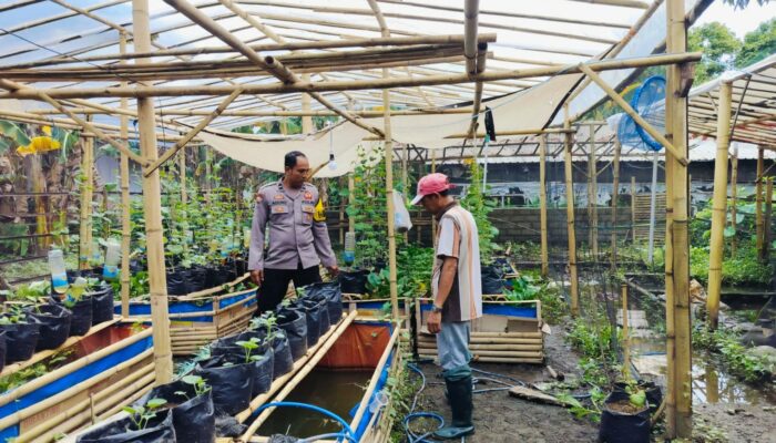 Polsek Labuapi Dukung Penuh Gerakan Tanam Sayur Warga Desa Bajur