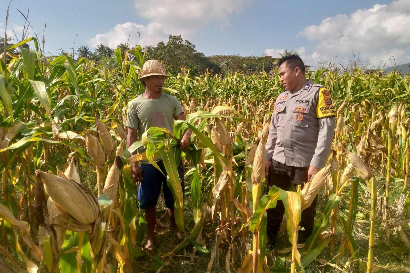 Bhabinkamtibmas Dorong Pemanfaatan Lahan untuk Ketahanan Pangan di Dusun Tambang Eleh