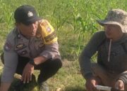 Sinergi Polisi dan Petani di Karang Bongkot untuk Jaga Ketahanan Pangan Lombok Barat