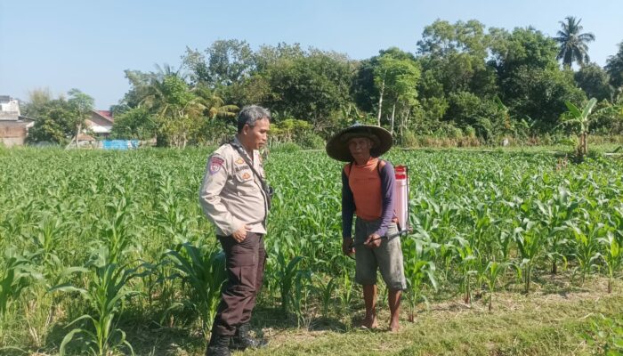 Polsek Batulayar Dukung Warga Desa Sandik Manfaatkan Lahan untuk Tanaman Produktif