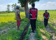 Patroli Polres Lombok Barat Jaga Keamanan Lahan Jagung