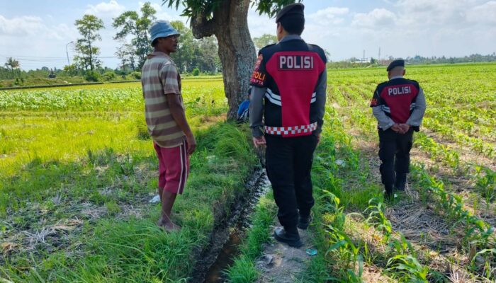 Patroli Polres Lombok Barat Jaga Keamanan Lahan Jagung