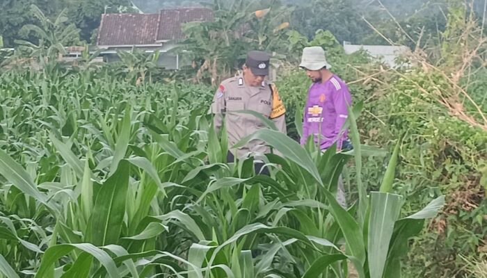 Bhabinkamtibmas Desa Babussalam Dorong Petani Bilakedit Barat Tingkatkan Ketahanan Pangan