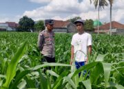 Pendekatan Humanis Polsek Kuripan: Sosialisasi Pangan dan Kamtibmas di Dusun Due Pelet