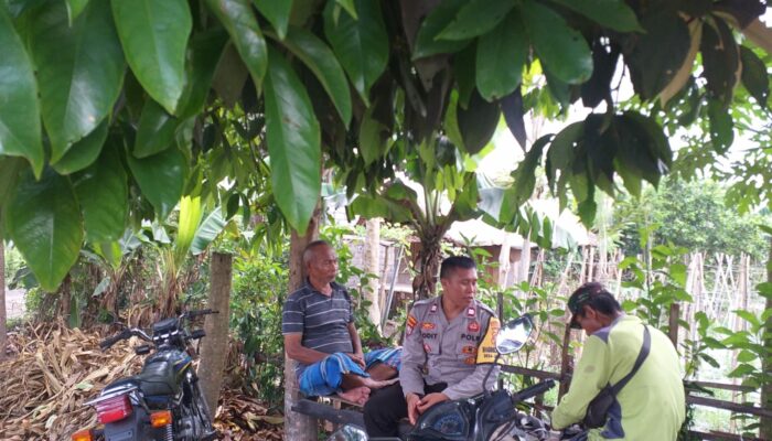 Kolaborasi Polri dan Petani di Lombok Barat Perkuat Fondasi Pangan Lokal