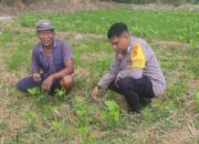 Inisiatif Bhabinkamtibmas Kuranji: Warga Diajak Menanam di Lahan Kosong