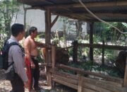 Edukasi Pertanian Pekarangan, Polsek Batulayar Beri Contoh di Dusun Melase