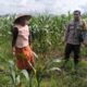 Polsek Labuapi Bangun Kesadaran Pangan Mandiri di Karang Kebon