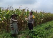 Kawal Desa, Polri Dukung Penuh Program Ketahanan Pangan di gerung
