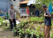 Cara Polsek Labuapi Sulap Lahan Warga Jadi Sumber Pangan