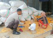 Sinergi Polri dan Petani Jaga Ketahanan Pangan NTB