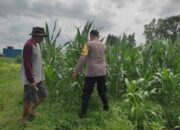 Langkah Konkret Bhabinkamtibmas Lombok Barat Wujudkan Kemandirian Pangan Desa