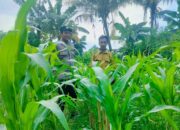 Strategi Polsek Labuapi Optimalkan Lahan Tidur di Bajur